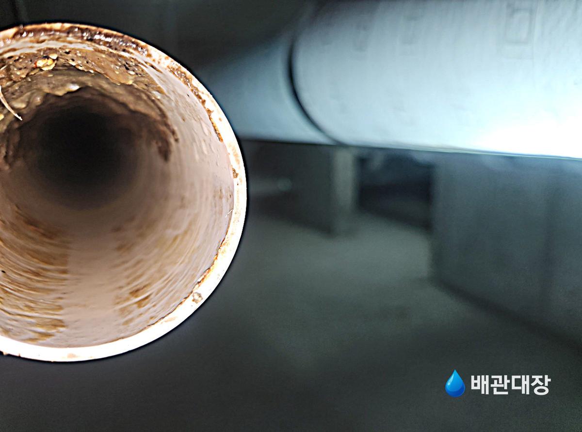 합정동 하수구막힘 작업 3