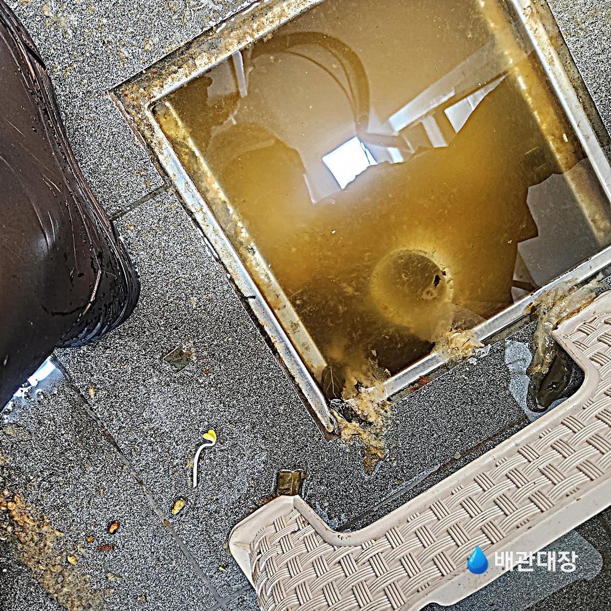 합정동 하수구막힘 작업